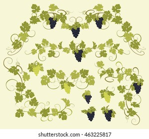Design elements with bunches of grapes and vines in vintage style.