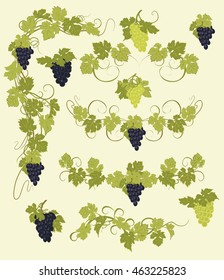 Design elements with bunches of grapes and vines in vintage style.