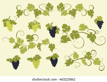 Design elements with bunches of grapes and vines in vintage style.