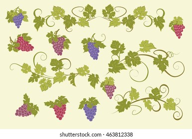 Design elements with bunches of grapes and vines in vintage style.
