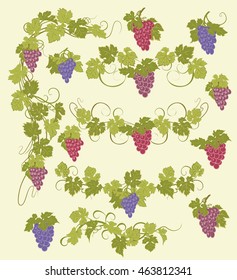 Design elements with bunches of grapes and vines in vintage style.