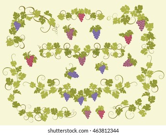 Design elements with bunches of grapes and vines in vintage style.