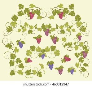 Design elements with bunches of grapes and vines in vintage style.