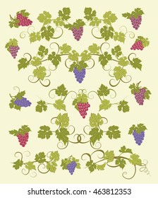 Design elements with bunches of grapes and vines in vintage style.