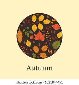 design elements, circular shapes composed of leaf and seed patterns
