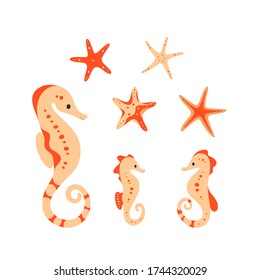 Design elements collection of sea creature. Starfish and seahorse. Simple flat vector illustration.