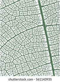 design elements with halftone raster effect. vector illustration, tool for designers.