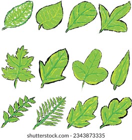 Design elements of leaves in scribble style