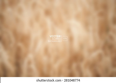 Design elements  on a wheat blurred background