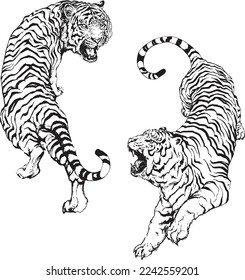 Elementos de diseño de ilustraciones vectoriales de tigres. Diseñar tigre tatuado. 
