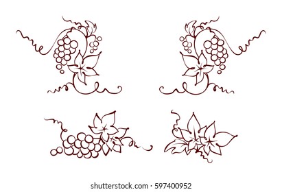 Design elements -- vine / Set graphic vector illustration, grapes drawing sketch