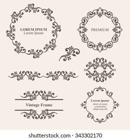 Design elements, vintage royalty frames and border in brown color. Vector illustration. Isolated on beige background. Can use for birthday card, wedding invitations.