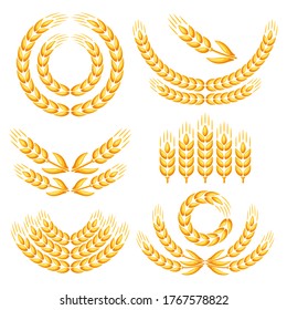 Design elements with wheat. Agricultural image natural golden ears of barley or rye.