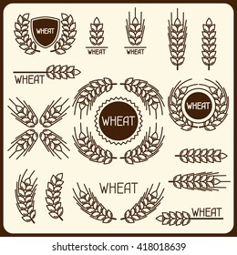 Design elements with wheat. Agricultural image natural ears of barley or rye. Objects for decoration bread packaging, beer labels. 