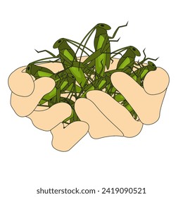 Design Entomophagy trend 2024 banner. Grasshopper in the hands isolated white background. Insects eco friendly alternative meat. Vector illustration. EPS 10. Editable stroke