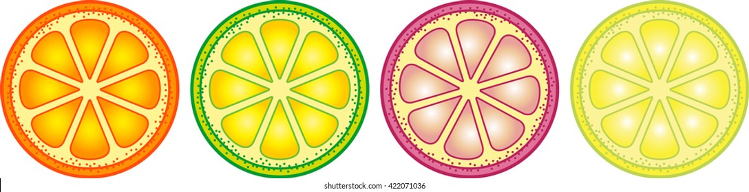 Design for fabric textile, kitchen, clothes. Isolated vector citrus flat set. Orange, lemon, and lime