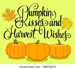Design for the Fall Festival. The hand-drawing quote: "Pumpkin kisses and Harvest wishes" in a trendy calligraphic style. It can be used for card, mug, poster, t-shirts, phone case etc.