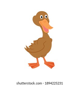 Design Flat icon duck animal