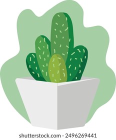 design flat illustration of cactus 