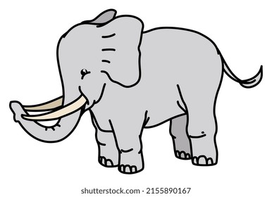 Design in flat style and outlines of a gray cute elephant with big tusks, long trunk, ears and tail.