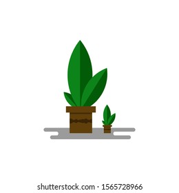 Design flat vector tree nature