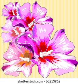 Design floral element. Vector illustration.