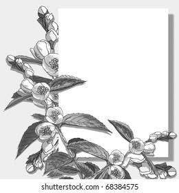 Design floral element. Vector illustration.