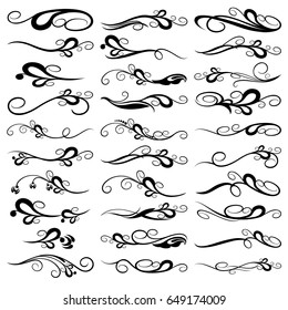 Design floral elements . Vector illustration.