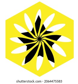 design flower and star vector concept