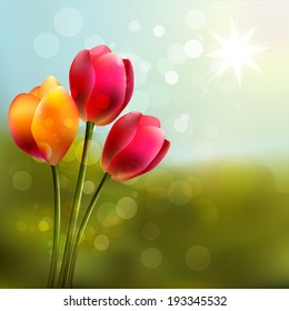 Design flowers on summer background.