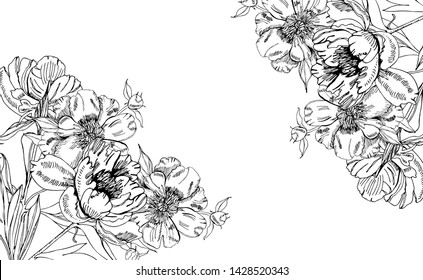 Design  with  flowers of peony and place for text. Hand drawn ink sketch. Black objects isolated on white background for banner, invitation or greeting card. 