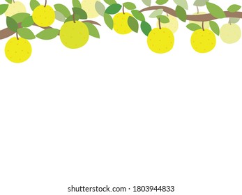 A design frame of pears