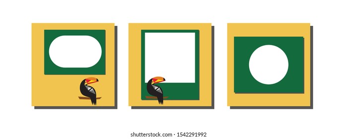 Design frames for social media banner with toucan.Set of posts frame templates.Vector cover. Mockup for personal blog or shop.Layout for promotion, sale.