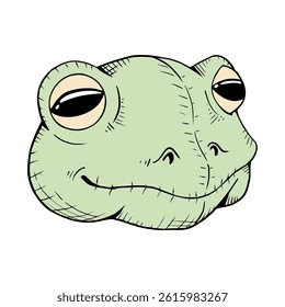 Design of frog face draw