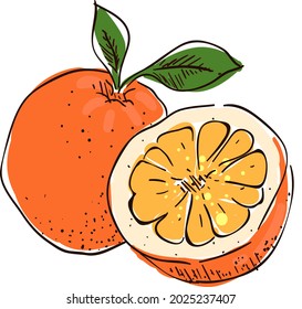 Design Fruit Green red orange
