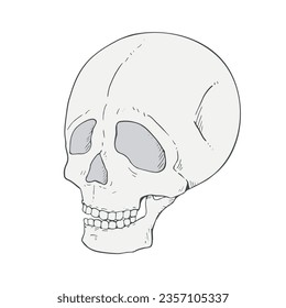 Diseño del divertido dibujo de la mano del cráneo