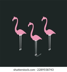 design graphic  cute flamingo vector 