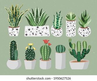 design graphic cute set cartoon floral isolated cactus vector decoration garden green nature pot flower plant illustration botanical succulent background summer natural collection art leaf