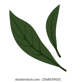 Design of green leaves representing natural beauty and botany concepts