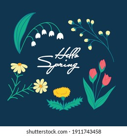 Design for a greeting card. Hello Spring hand sketched text. Drawing poster with flowers and plants