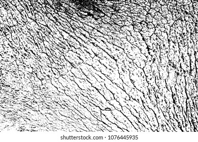 Design Grunge Textures Grey Dark Black and White with Old Cracked Rubber Tyre Background, Grunge Vector Background illustration EPS 10