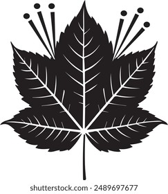 Design a high-quality vector file featuring a century leaf, capturing its intricate details and natural beauty. Ensure the file is suitable for various applications, including digital illustrations, p