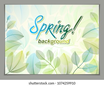 Design horizontal banner with Spring typing logo, green and fresh leaves frame composition background. Seasonal card, promotion offer. Stylish classy botanical drawing, environment.