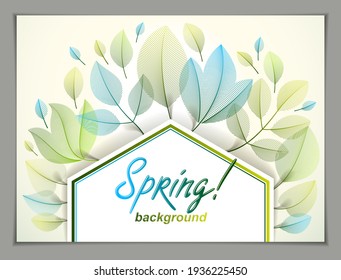 Design horizontal banner with Spring typing logo, green and fresh leaves frame composition background. Seasonal card, promotion offer. Stylish classy botanical drawing, environment.