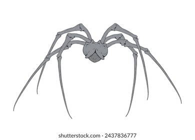 Diseño del dibujo de araña de terror