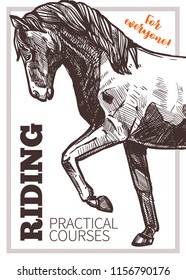 Design for horse riding poster with hand drawn horse. Sketch illustration for riding school, lessons, equestrian club or academy