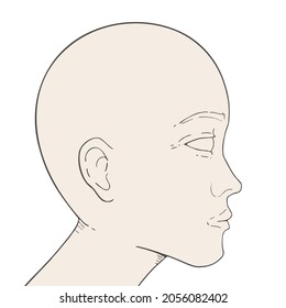 Diseño del dibujo de la cabeza calva humana