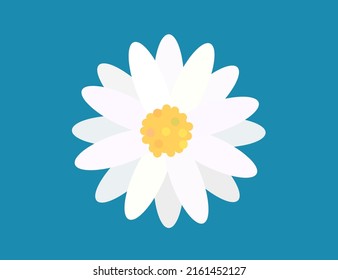 Design icon vector illustration of a flower (chamomile, gerbera, aster