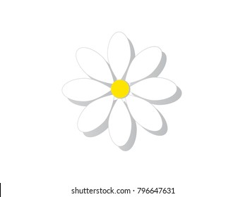 Design icons vector illustration of a flower (chamomile).