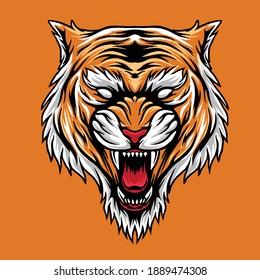 design illustratio tigers head vector